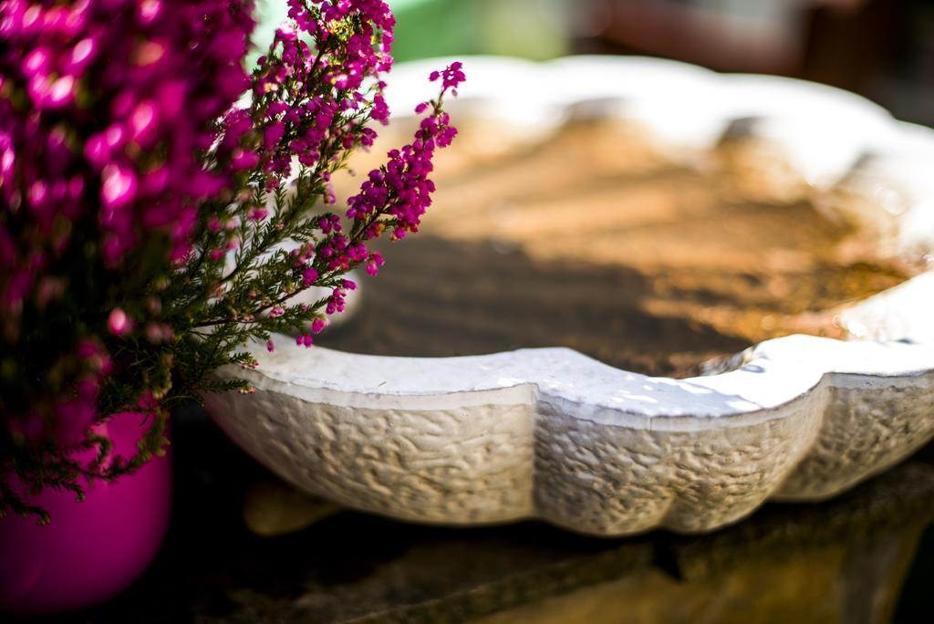 Feng Shui Wellness Apartmanhaz Hévíz Dış mekan fotoğraf