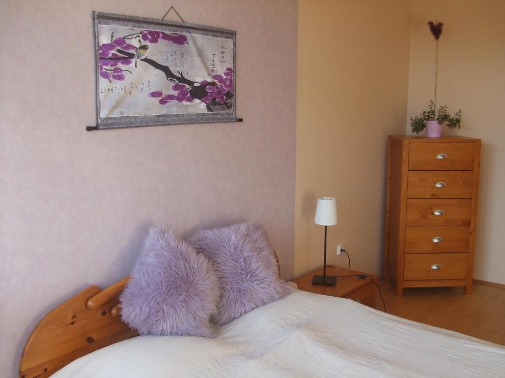 Feng Shui Wellness Apartmanhaz Hévíz Dış mekan fotoğraf